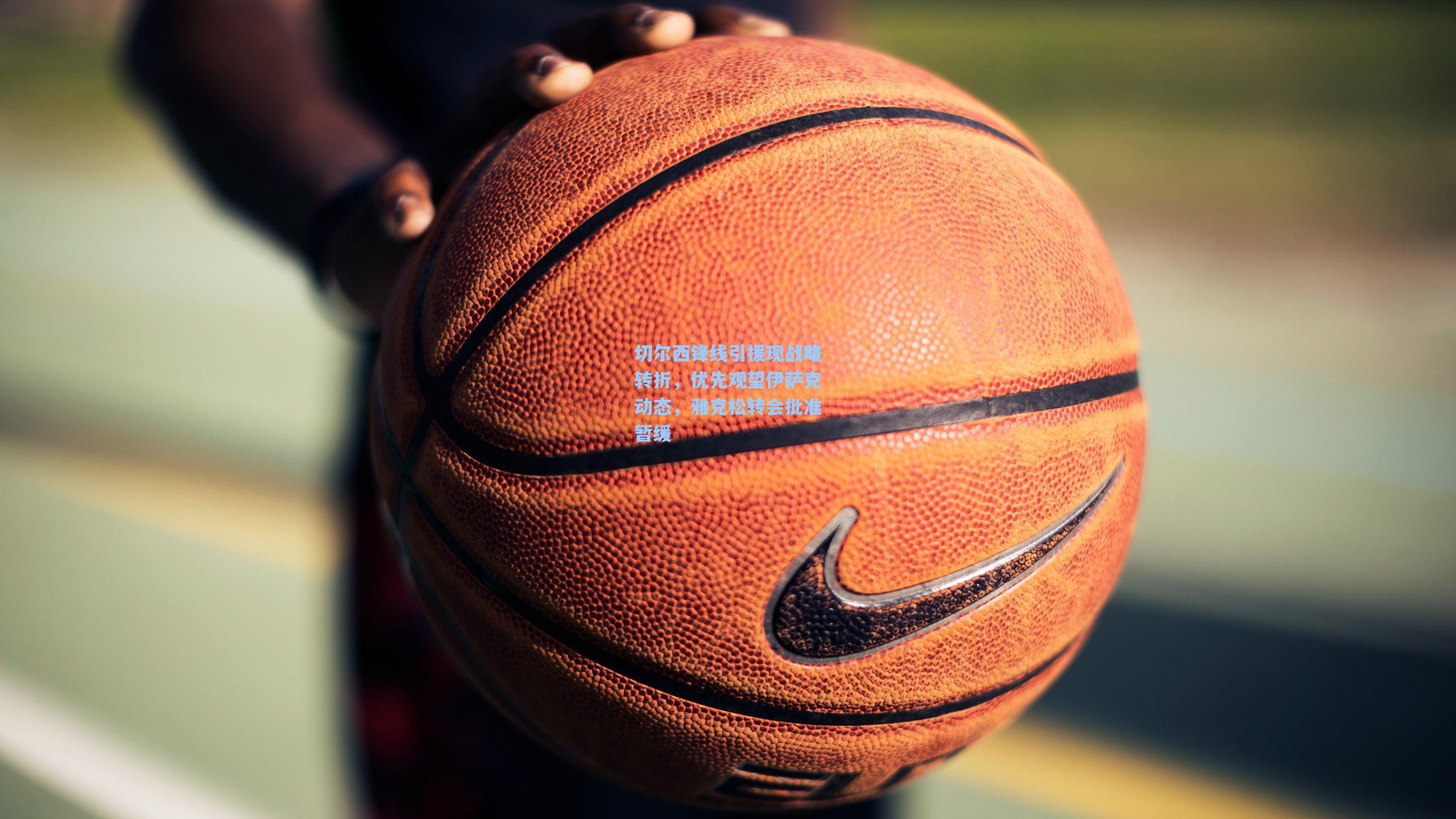 切尔西锋线引援现战略转折，优先观望伊萨克动态，雅克松转会批准暂缓