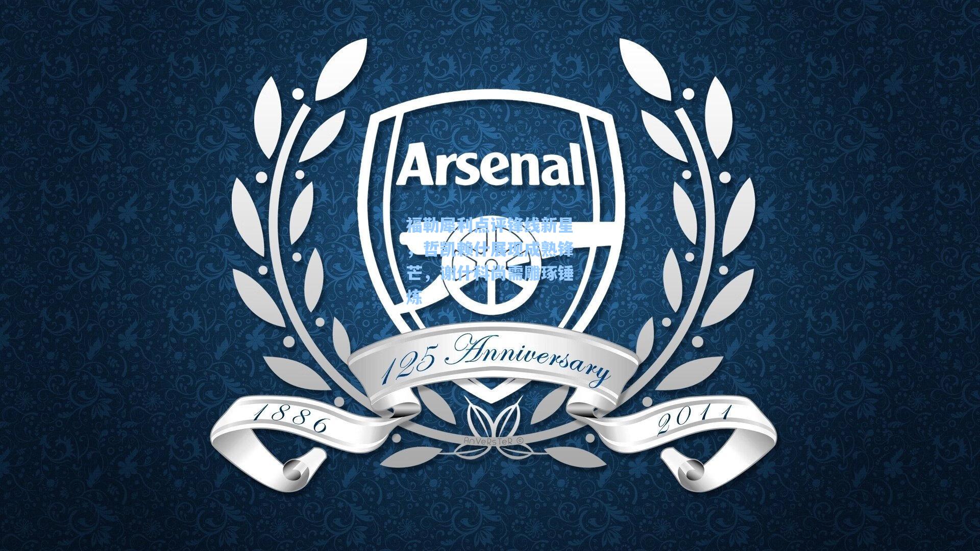 福勒犀利点评锋线新星，哲凯赖什展现成熟锋芒，谢什科尚需雕琢锤炼