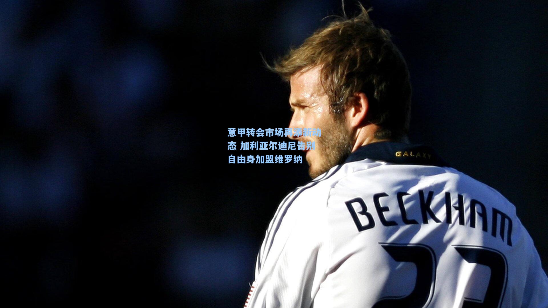 意甲转会市场再添新动态 加利亚尔迪尼告别自由身加盟维罗纳