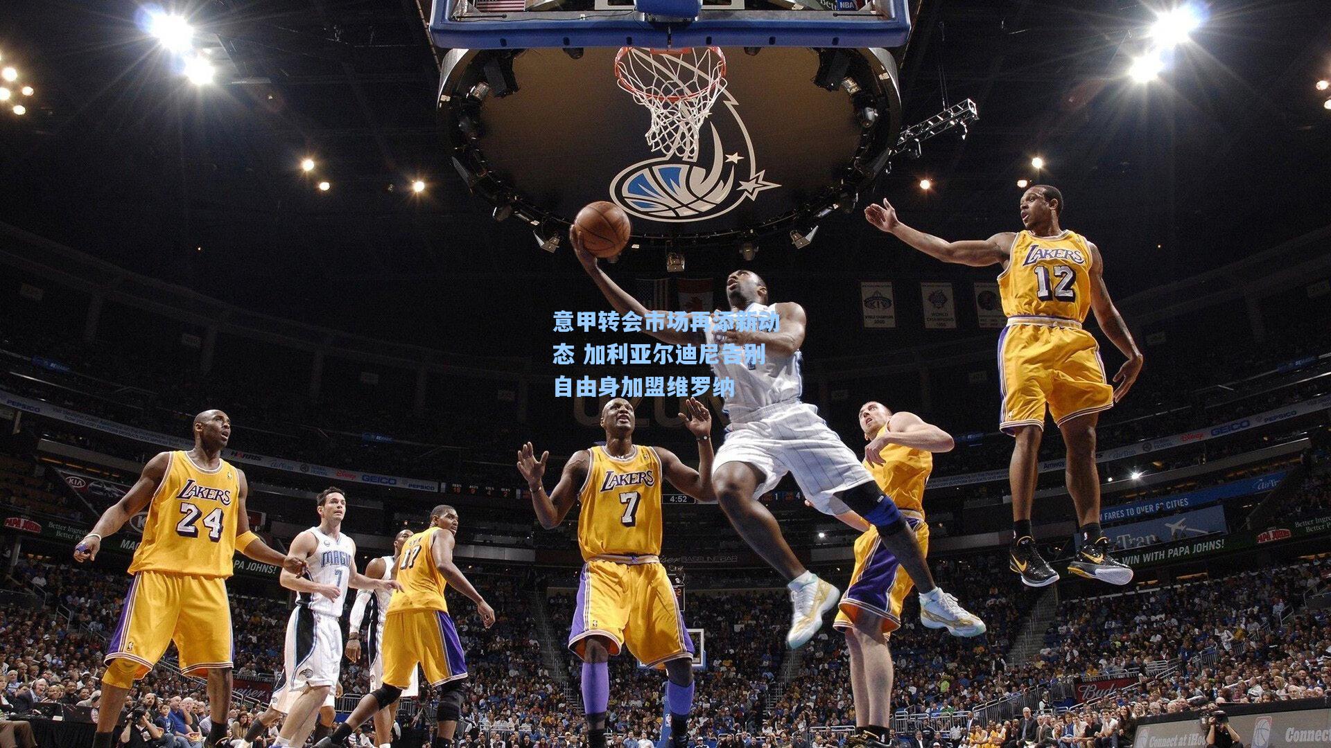 意甲转会市场再添新动态 加利亚尔迪尼告别自由身加盟维罗纳